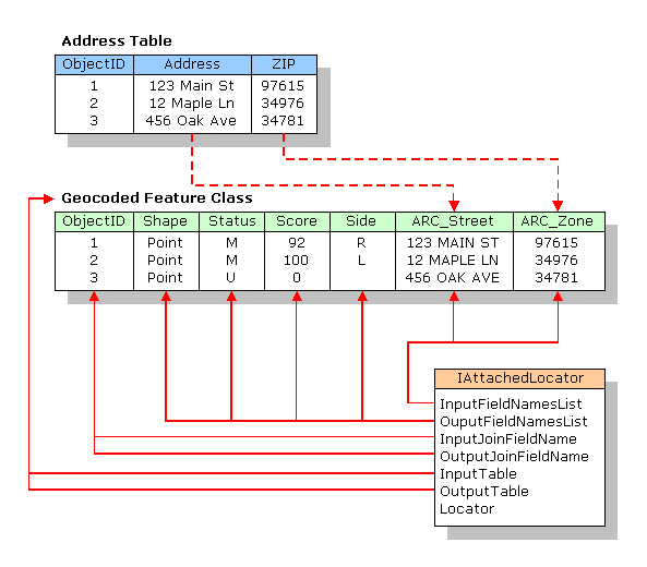 ArcCatalog and ArcMap copy the address fields from the address table to the geocoded feature class.